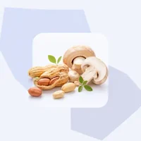 فيتامين ب3 · النياسيناميد